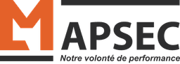 Logo Mapsec